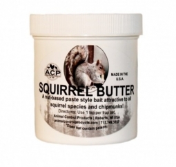 Squirrel Butter